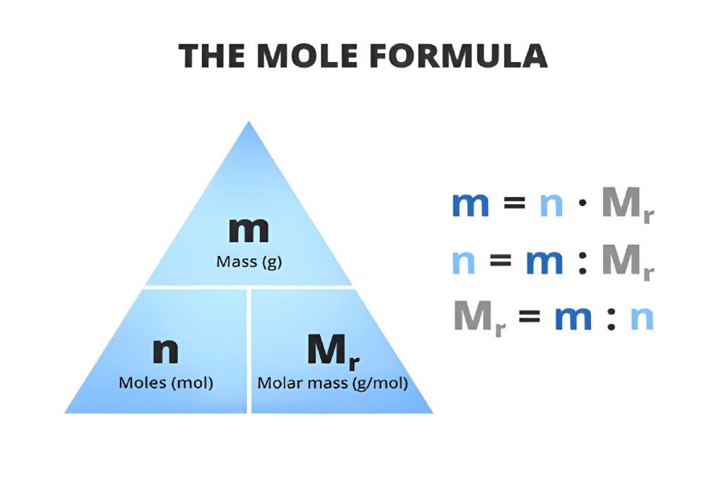 Which Statement Best Describes a Mole